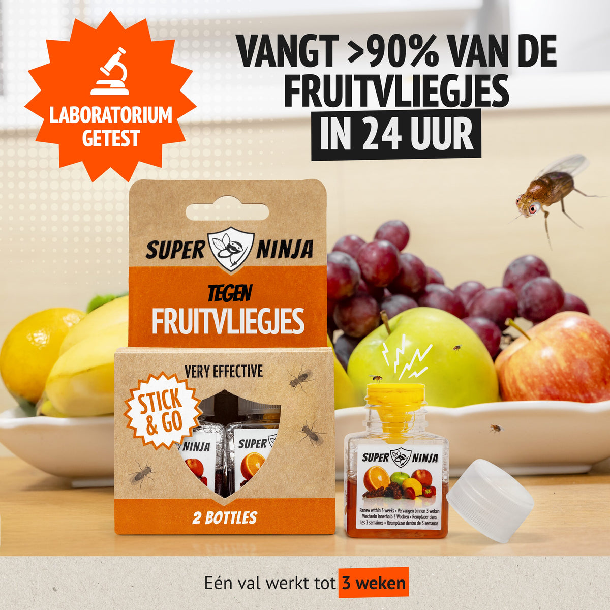 Fruitvliegjesval met laboratoriumtest van de vangst binnen 24 uur