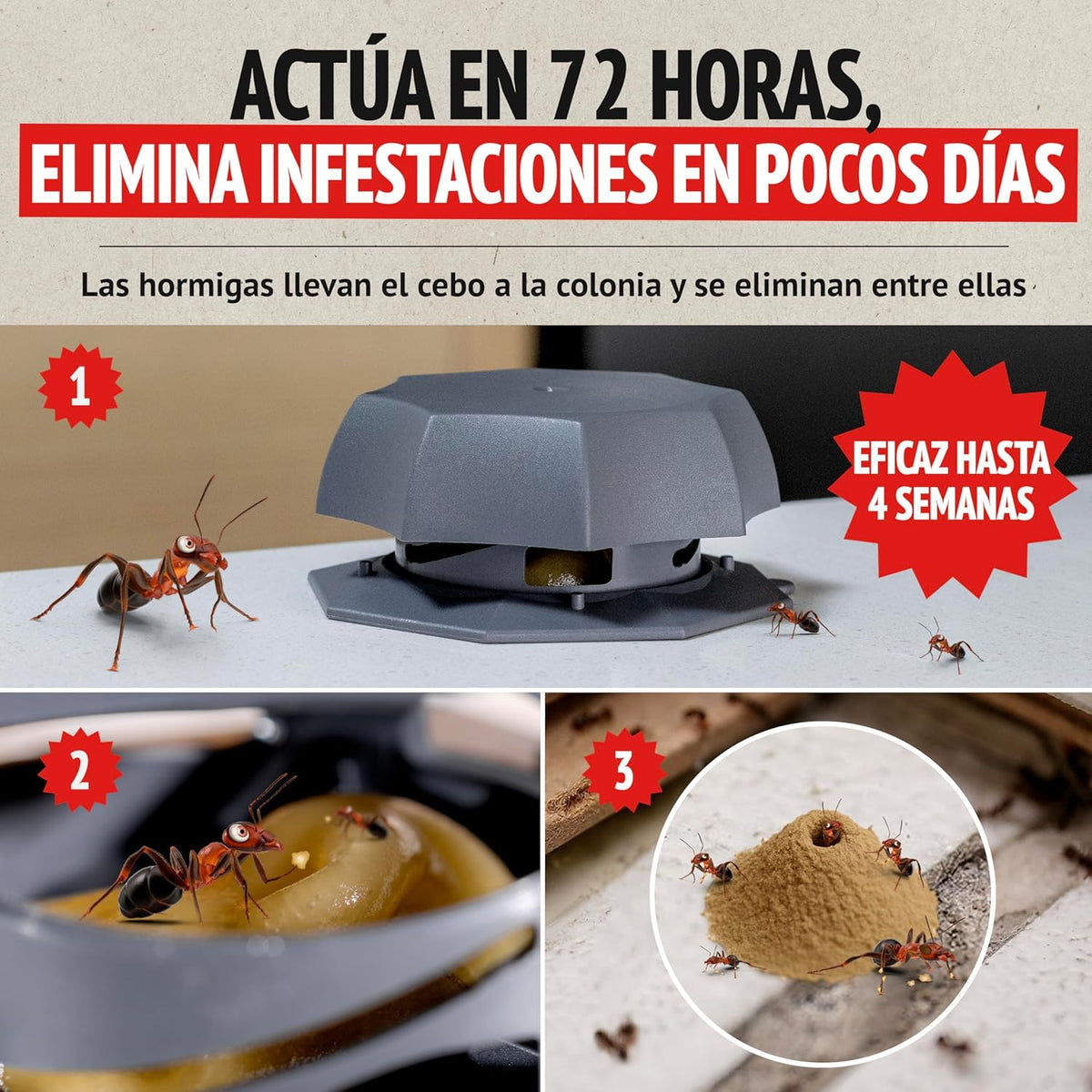 Super Ninja Pièges Anti Fourmis