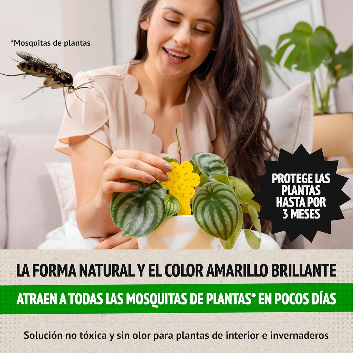 Super Ninja Pegatinas Amarillas y Trampa para Moscas de la Fruta