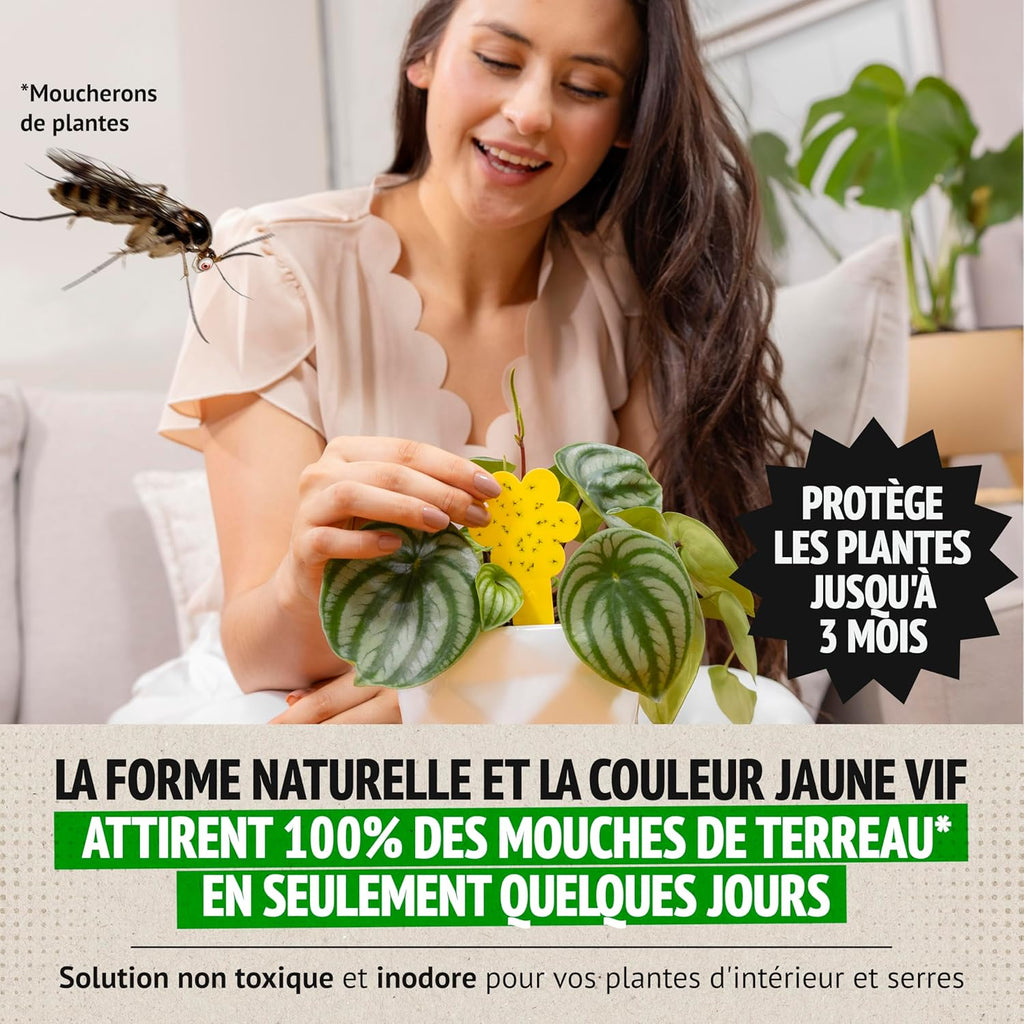 Super Ninja Anti Moucherons Intérieur