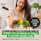 Super Ninja Anti Moucherons Intérieur