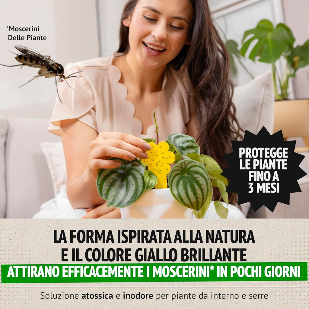 Pacchetto combinato Super Ninja contro moscerini della frutta e moscerini piante