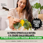 Pacchetto combinato Super Ninja contro moscerini della frutta e moscerini piante
