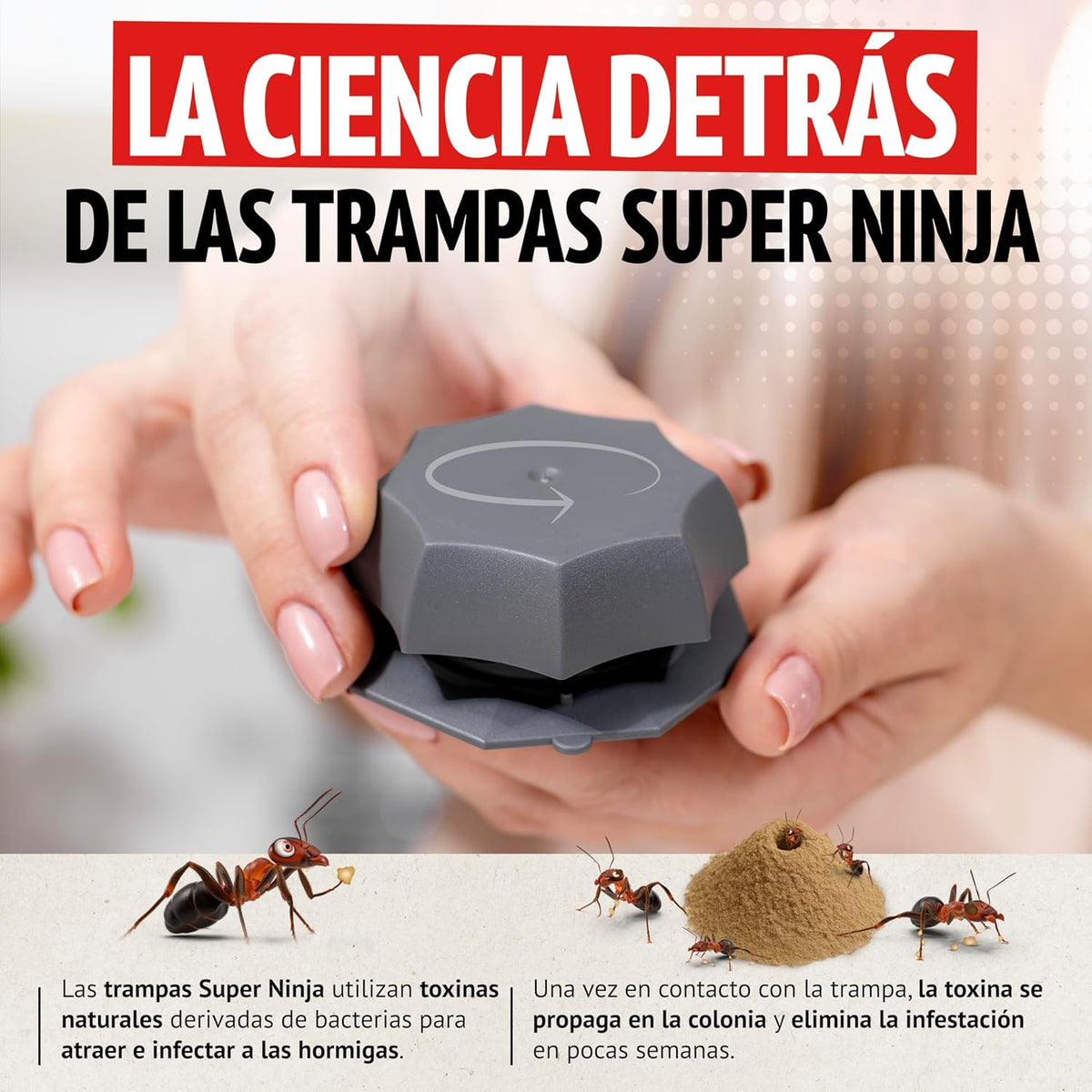 Super Ninja Pièges Anti Fourmis