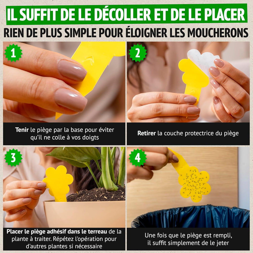 Super Ninja Anti Moucherons Intérieur