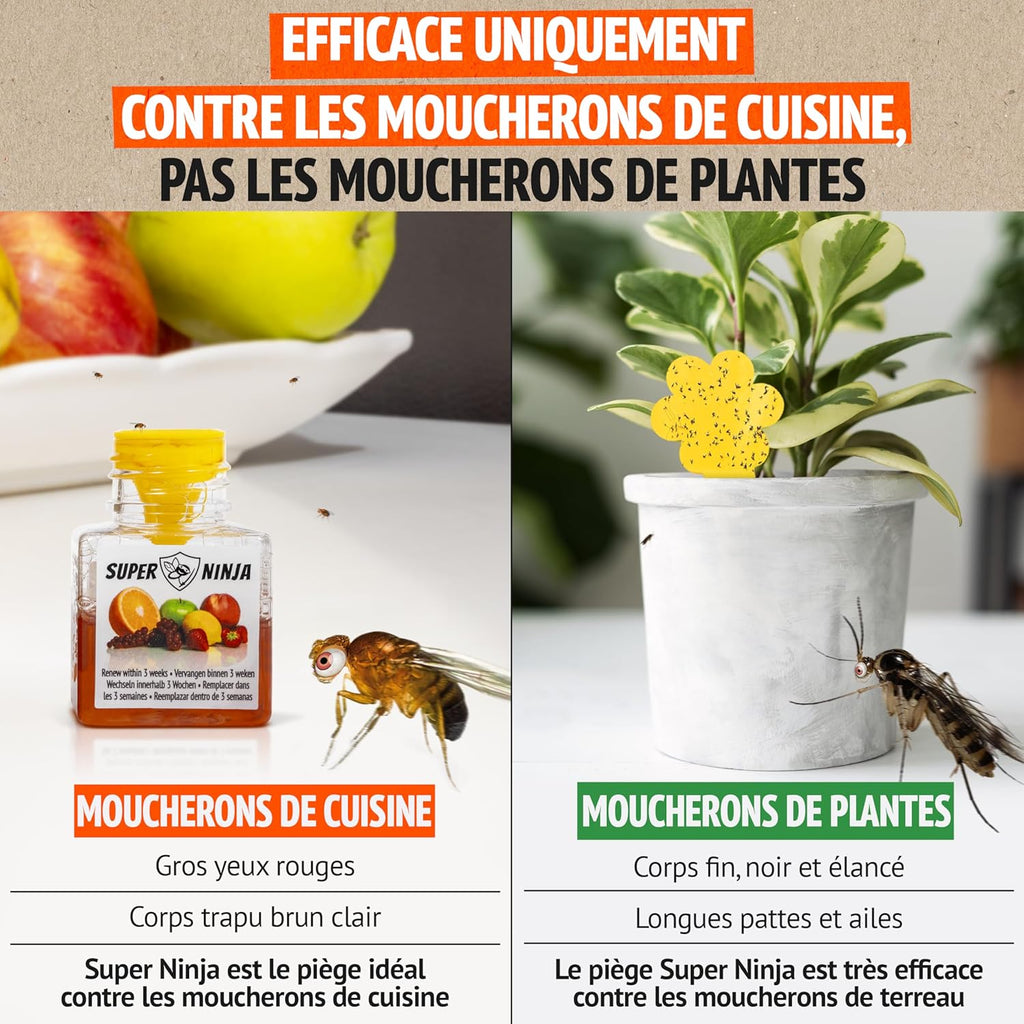 Super Ninja Piège à mouches des fruits