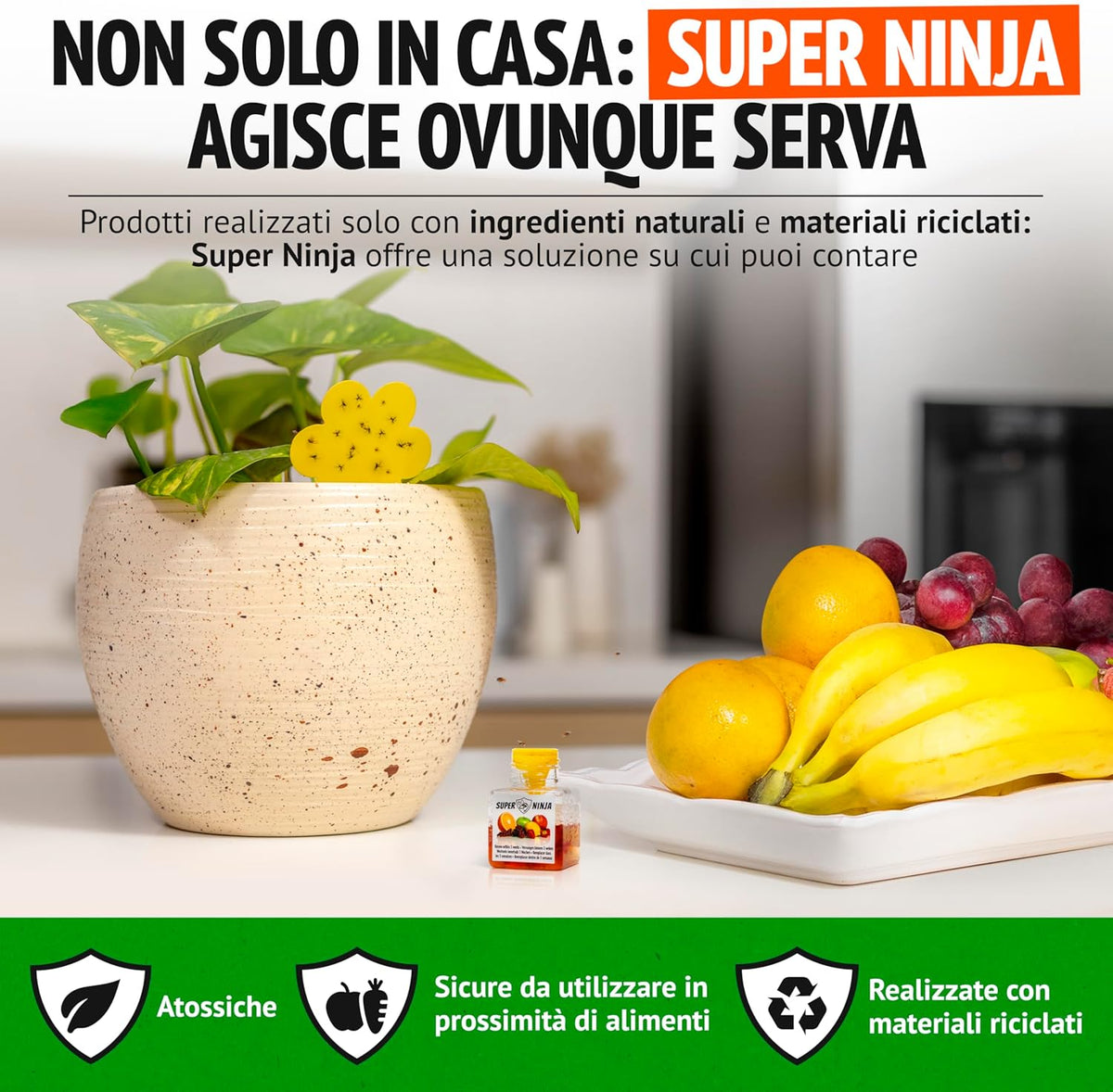 Pacchetto combinato Super Ninja contro moscerini della frutta e moscerini piante