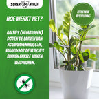 Super Ninja Aaltjes tegen Rouwvliegjes