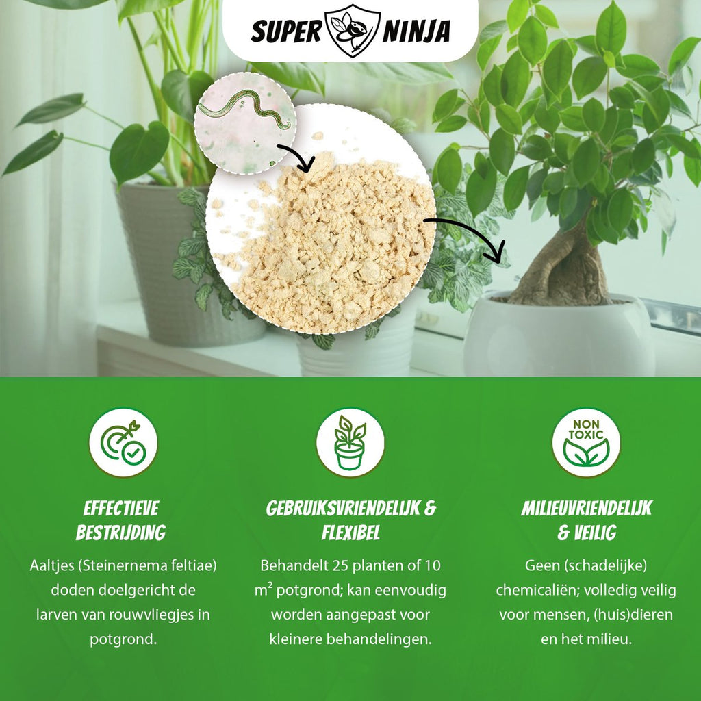 Super Ninja Aaltjes tegen Rouwvliegjes