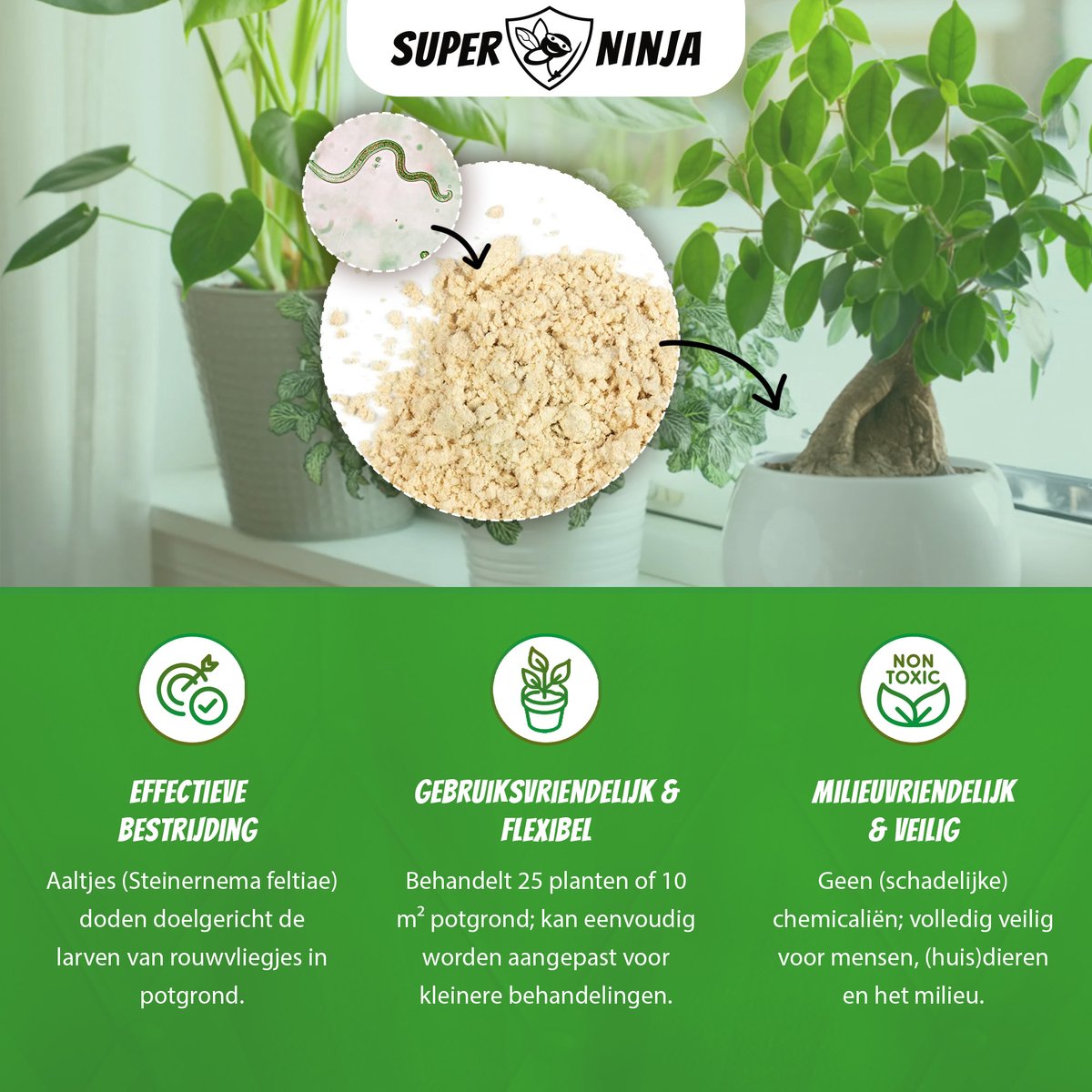 Super Ninja Aaltjes tegen Rouwvliegjes