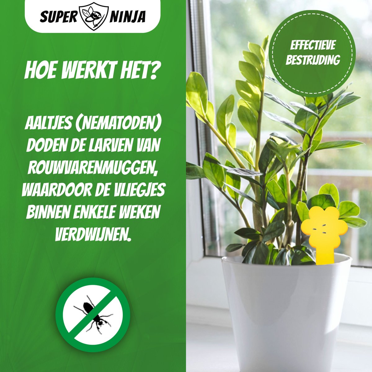 Super Ninja Combipakket tegen Rouwvliegjes