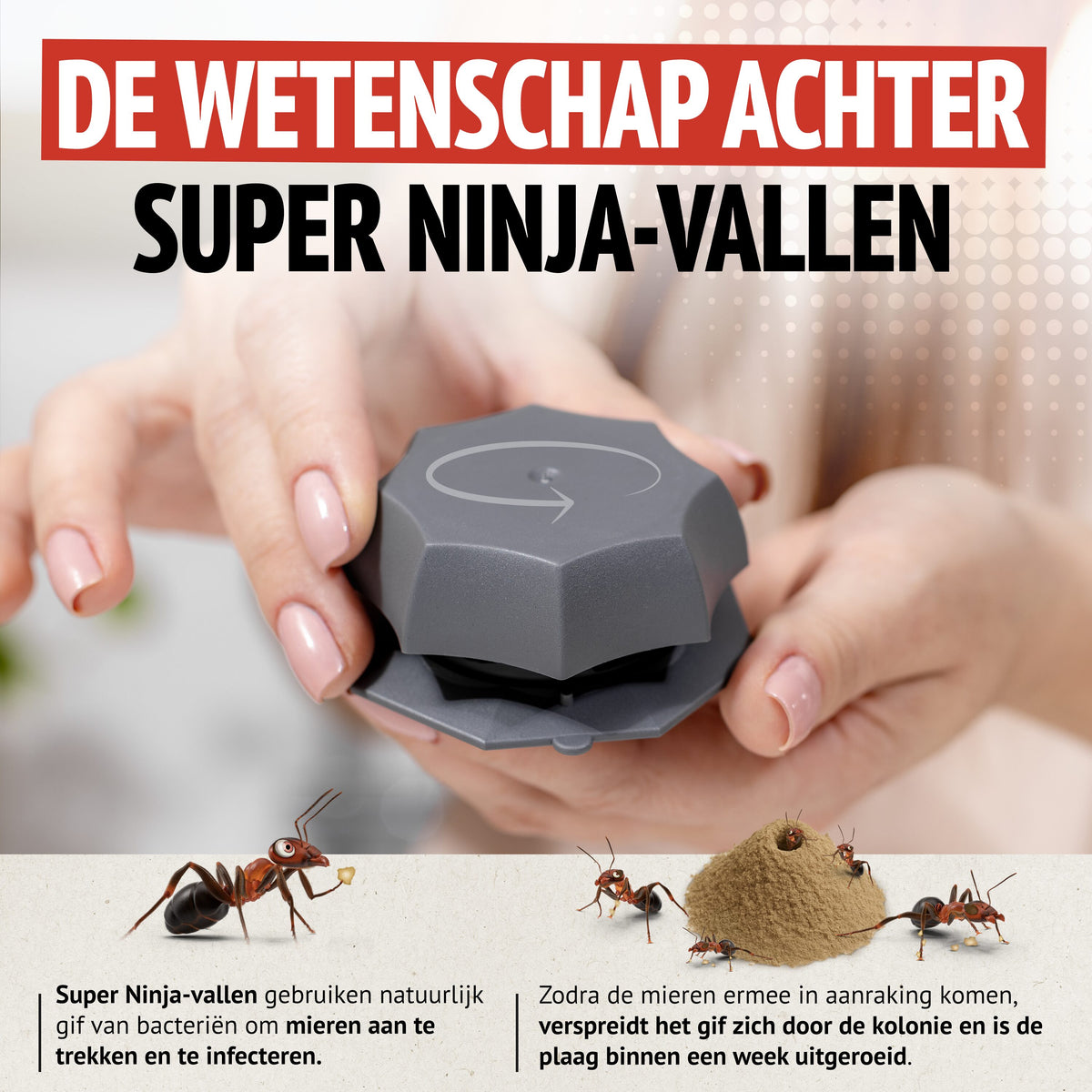 Super Ninja Pièges Anti Fourmis