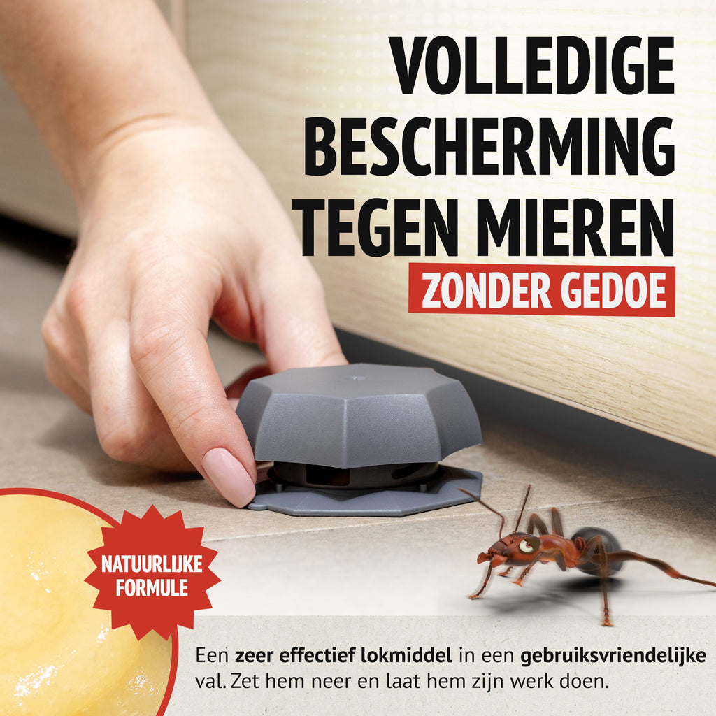 Super Ninja Pièges Anti Fourmis