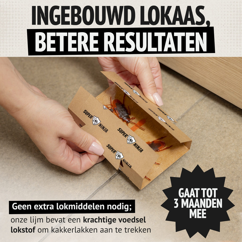 Super Ninja Kakkerlakkenval