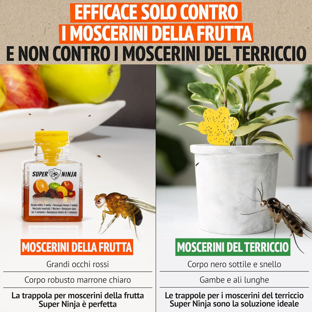 Super Ninja Trappola Moscerini Frutta