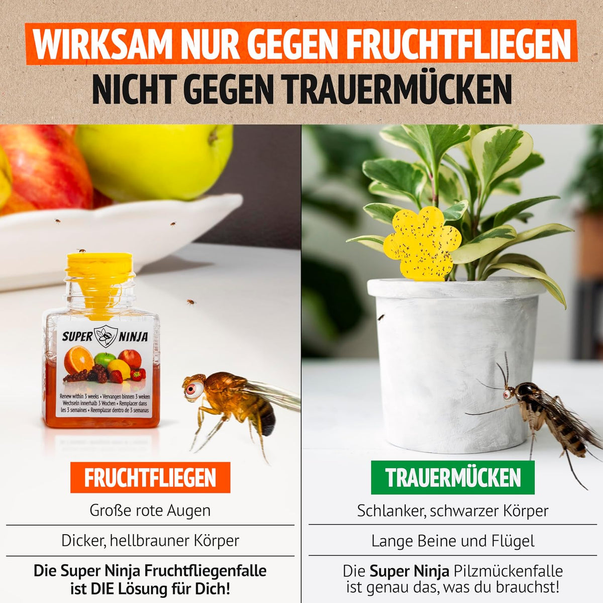 Super Ninja Fruchtfliegenfalle