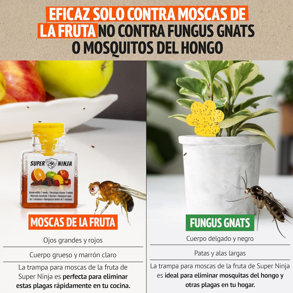 Super Ninja Trampa para Moscas de la Fruta