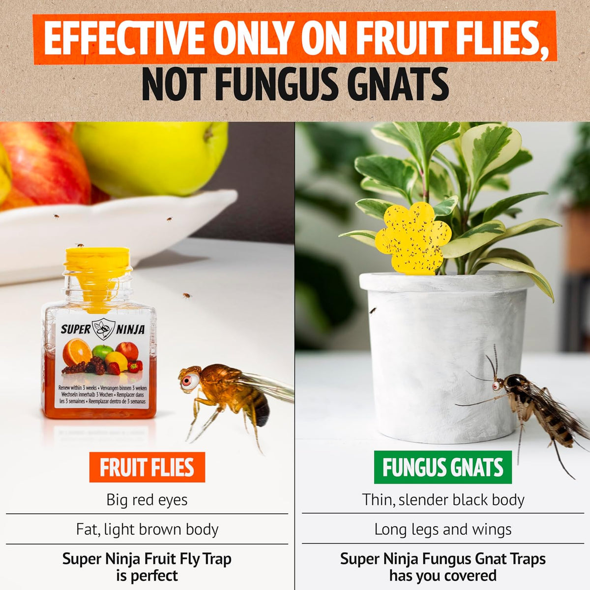 Super Ninja Fruit Fly Trap