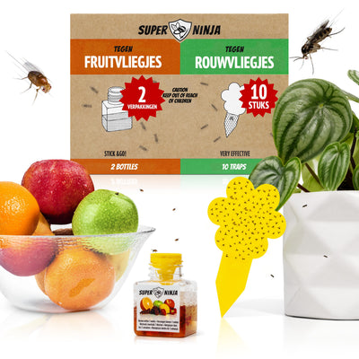 Super Ninja Kombipaket: Fruchtfliegenfallen und Gelbtafeln