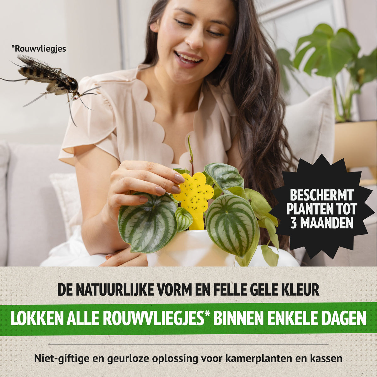 Vrouw steekt een gele vangplaat bij haar kamerplant in de aarde
