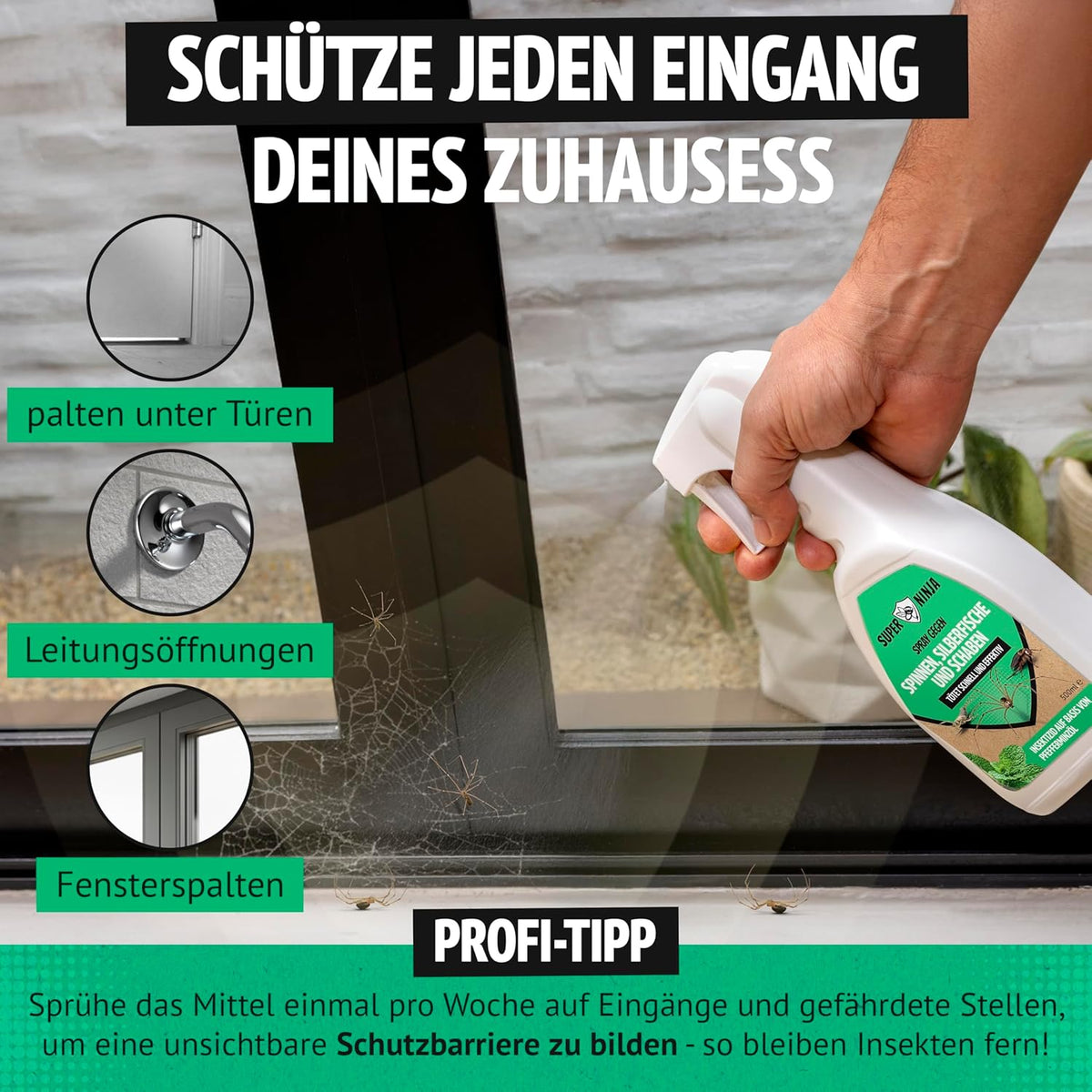 Super Ninja Spinnen- & Silberfischspray