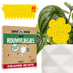 Plaques jaunes Super Ninja contre les moucherons des plantes, boîte de 60