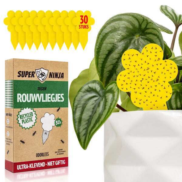 Super Ninja gele vangplaten tegen rouwvliegjes, verpakking van 30 bij een kamerplant