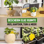 Gelbtafeln in Zimmerpflanzen zu Hause, im Büro und im Garten