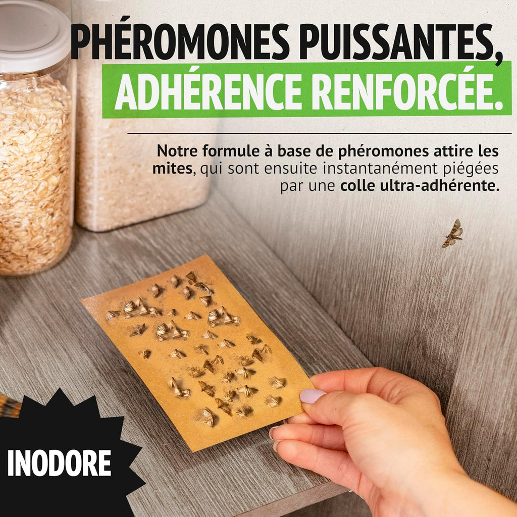 Super Ninja Anti Mites Alimentaires