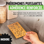 Super Ninja Anti Mites Alimentaires