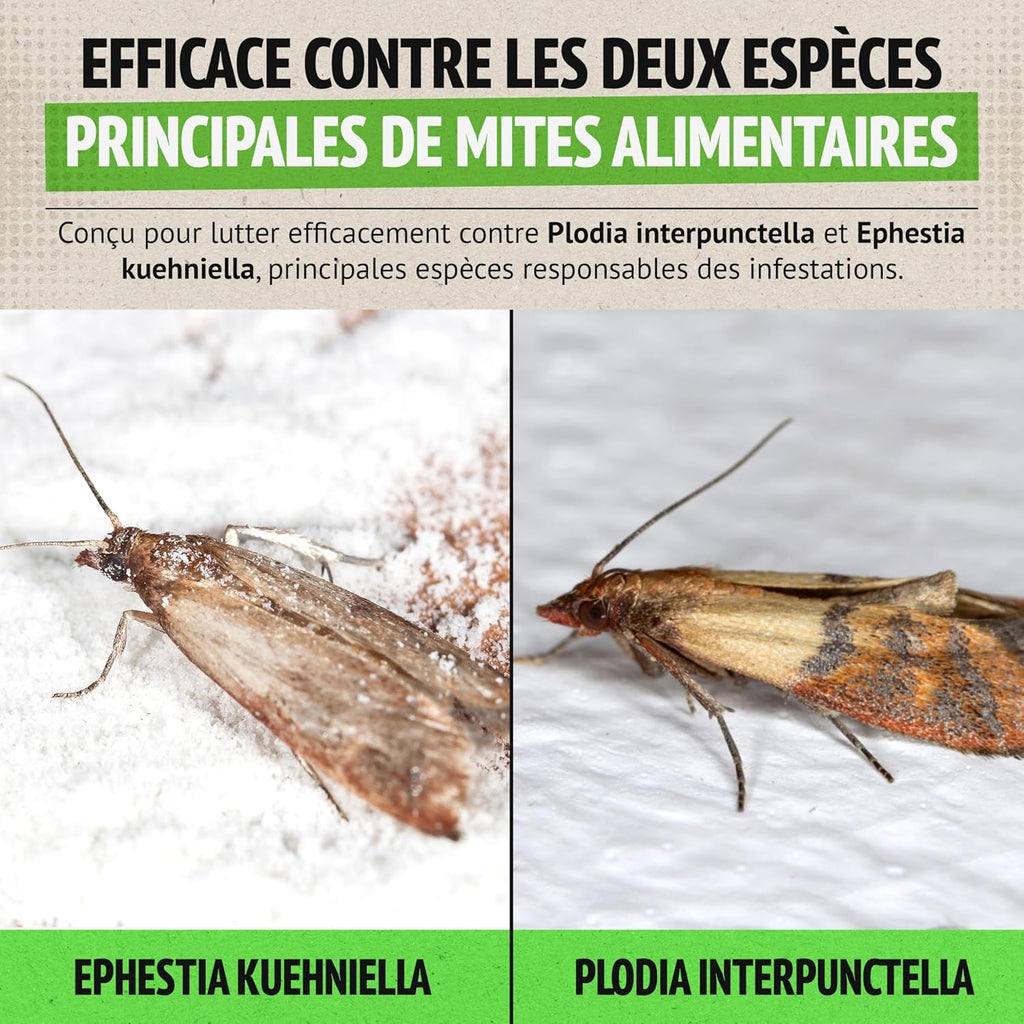 Super Ninja Anti Mites Alimentaires