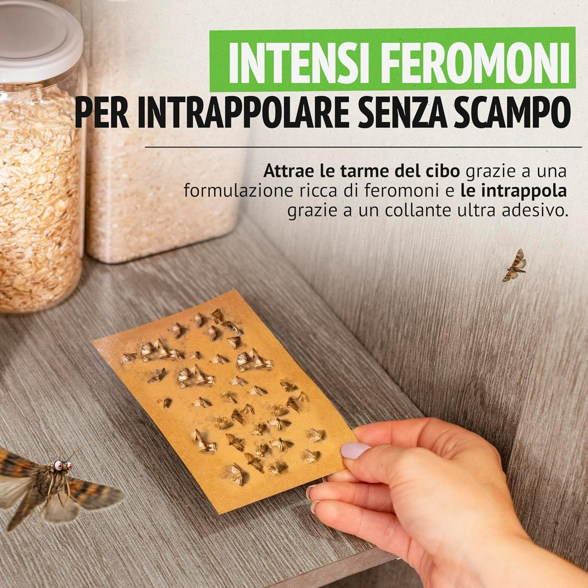 Super Ninja Trappola per Tarme Alimentari