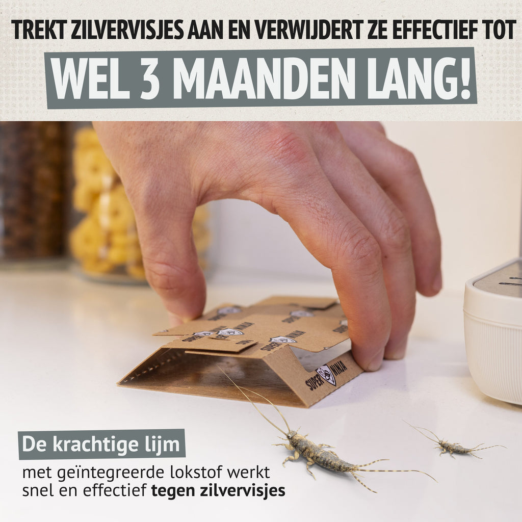 Super Ninja Zilvervisjesval