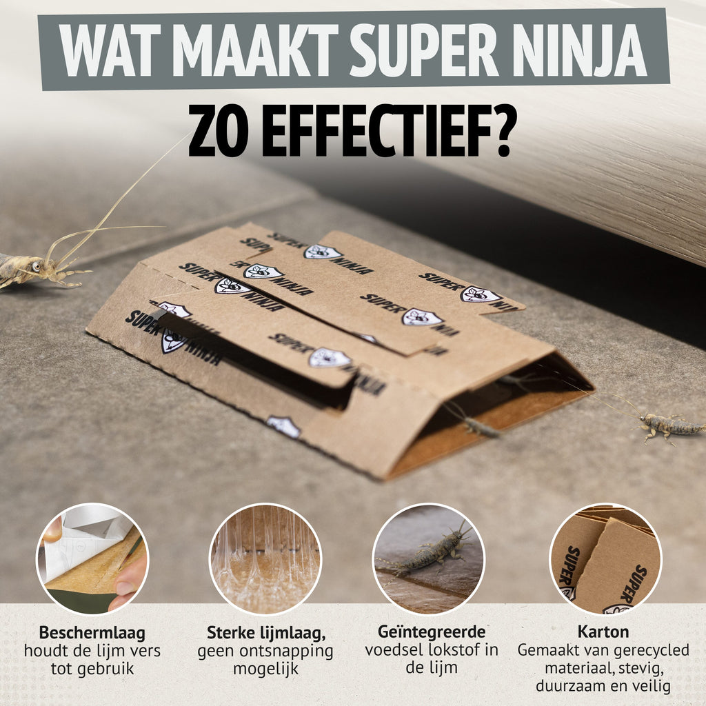 Super Ninja Zilvervisjesval