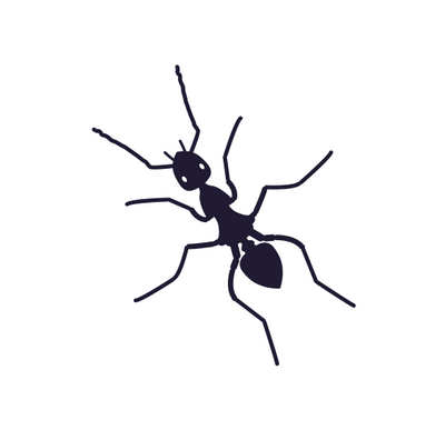 Image of bug 4